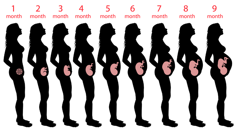 Az abortusz hónapokban