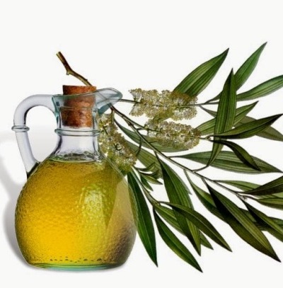 Tea Tree Oil til hårvækst