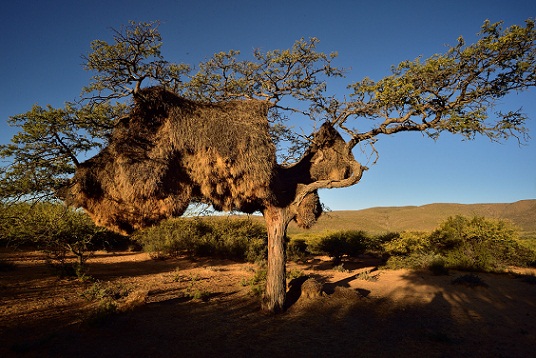 Steder til bryllupsrejser i Northern Cape i Sydafrika