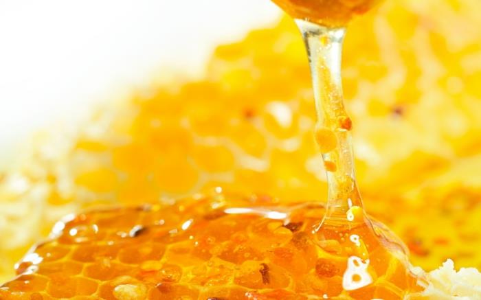 hunaja päässä terve hunajapotti hunaja lusikka hunajakenno