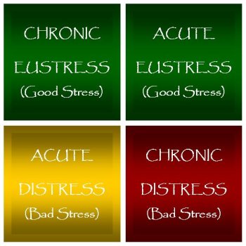 Typer af stress