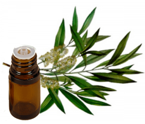Tea Tree Oil kan slippe af med acne -ar