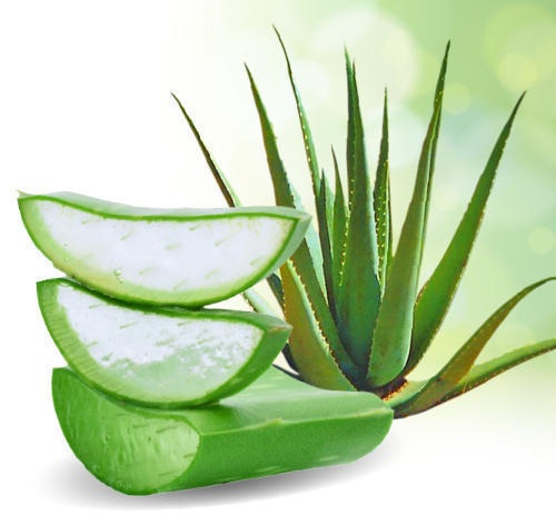 aloe vera til pande acne