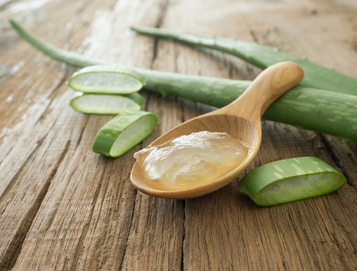 Aloe Vera til acne i hovedbunden