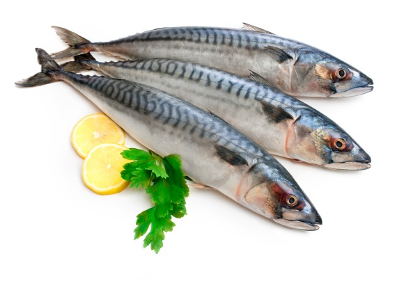 Fisk