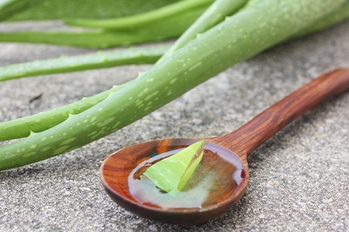 Aloe Vera Gel til Dark Circles