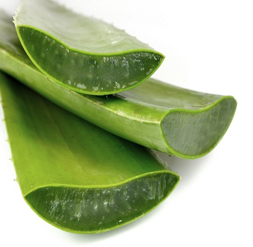 Aloe Vera reducerer rynker i ansigtet