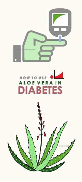 aloe vera til diabetes