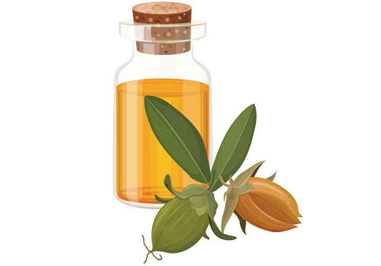 Hot Jojoba -oliebehandling til hårvækst