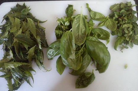 Tulsi, Neem og Mint Face Pack