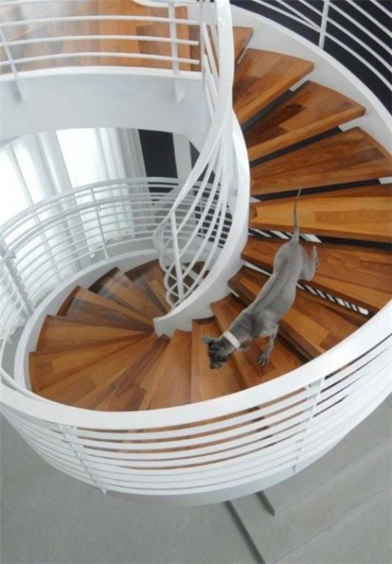 koirat kotona tyylikäs portaat harmaa turkis kaide valkoinen