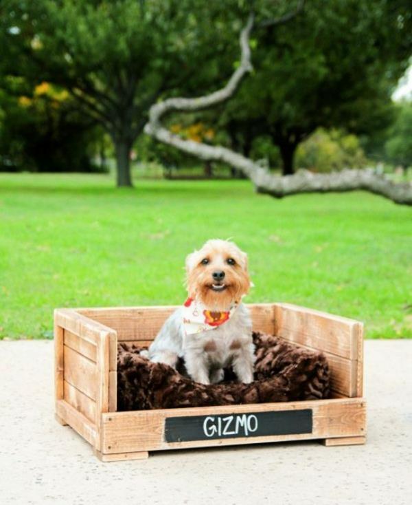 rakenna oma koiranpeti -diy -projektisi puulaatikko