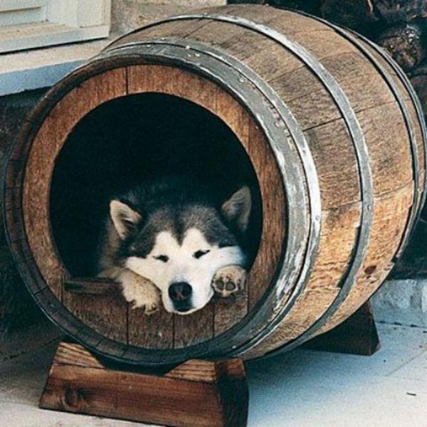 koiran sänky rakenna itsellesi puinen tynnyri vanha