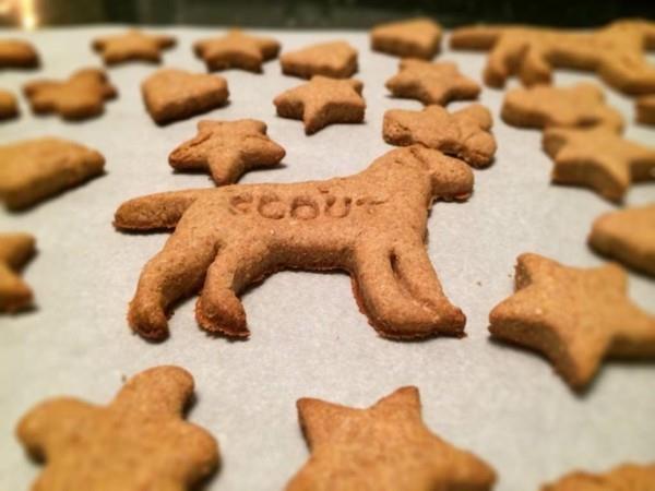 Paista koirankeksejä itse koira kohtelee ideoita