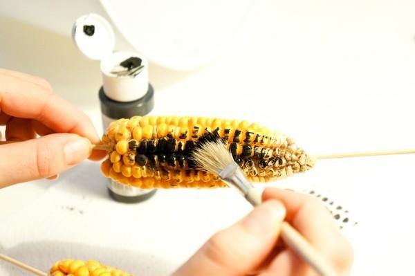 ikea hakkeroi maissintähkätä