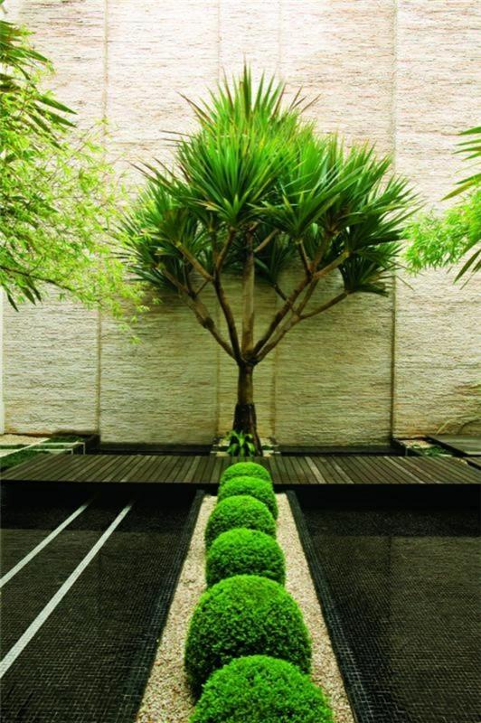 ikivihreät kasvit ja mielenkiintoinen lattia