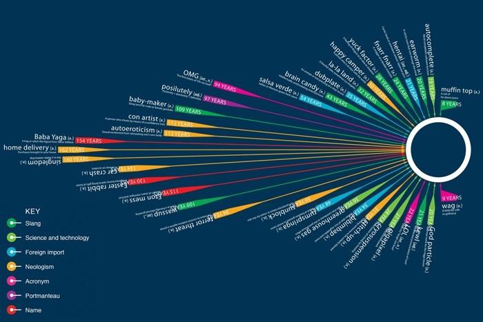 infografia 1