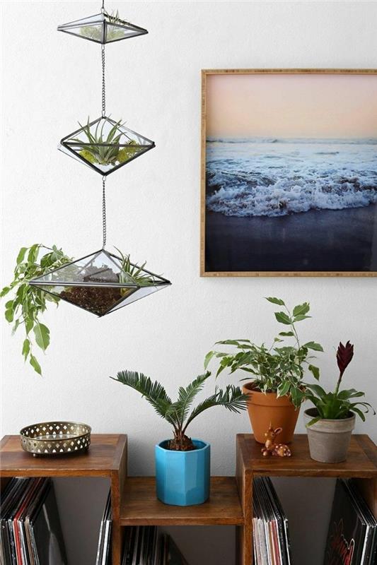 sisustusideoita seinäkoristelu valokuva riippuvat kasvit mehikasveja