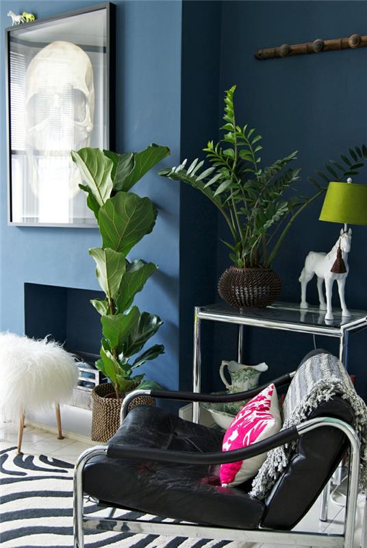 huonekasvit elävät ideat olohuone seepra matto sininen seinämaali