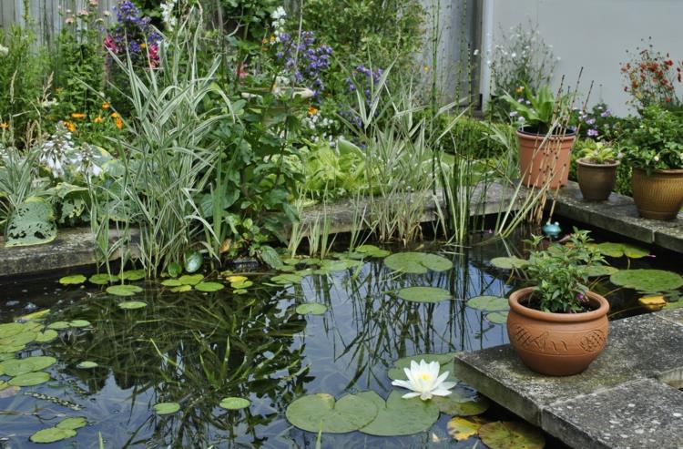 inspiroiva puutarhalampi kuvat vesikasvit lampi