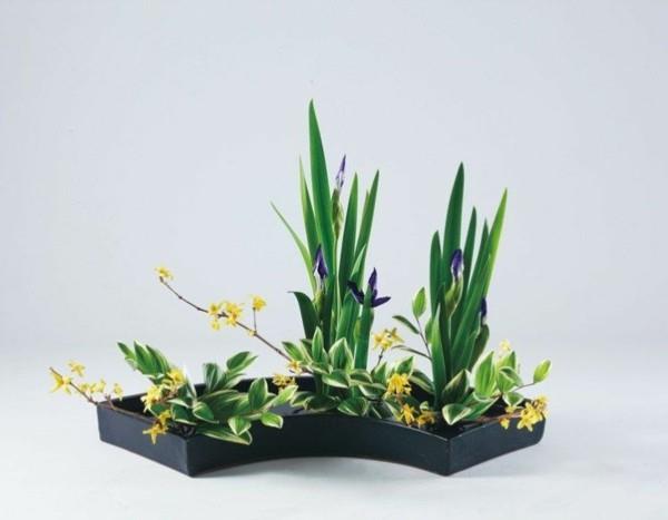 iiris kevään kukka ikebana japanilainen kukka -asetelma