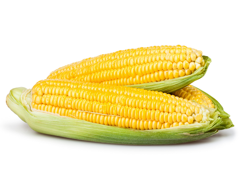 Biztonságos a kukorica fogyasztása terhesség alatt