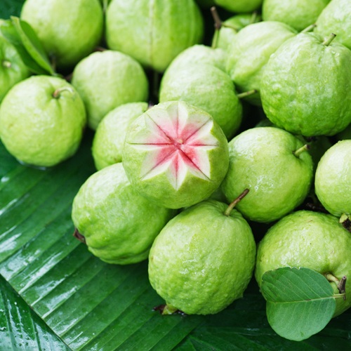 guava under graviditeten