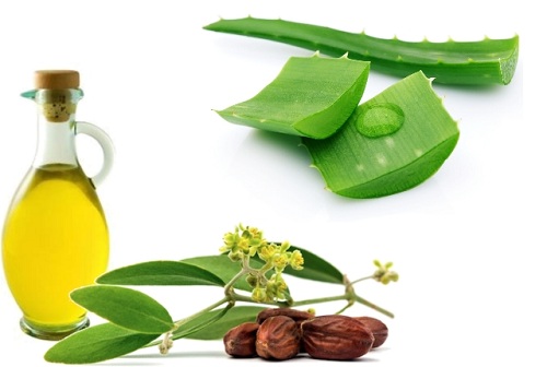 Aloe Vera og Jojobaolie