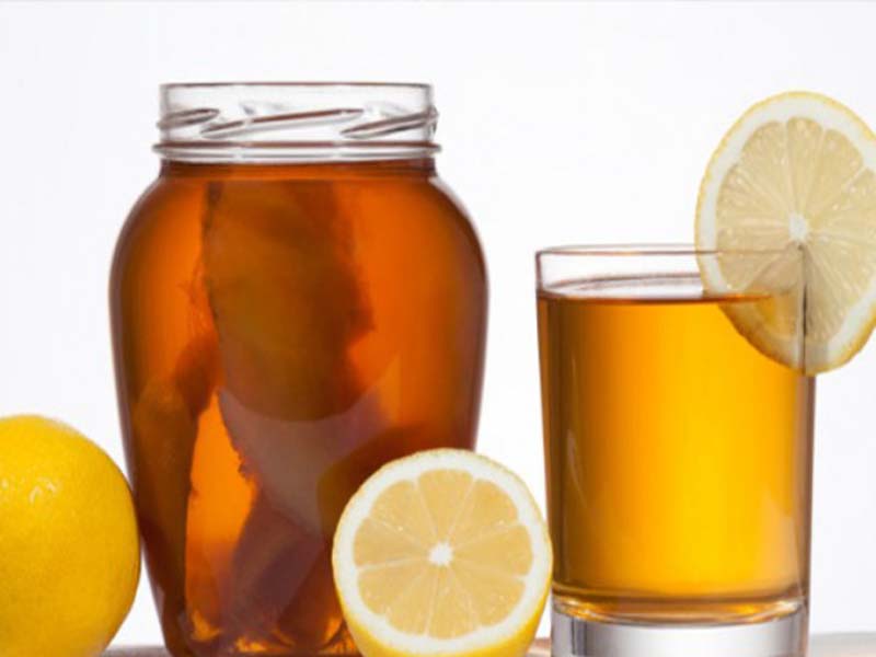 kombucha under graviditeten