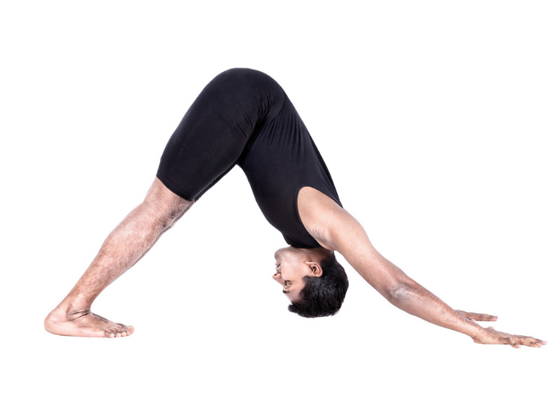 Adho Mukha Shvanasana surya namaskar til flad mave