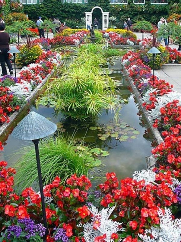 Italian puutarhan suunnittelu lampi värilliset kasvit