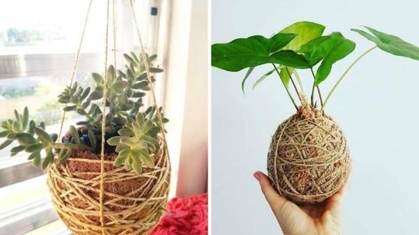 japanilainen puutarha art bonsai DIY Kokedama