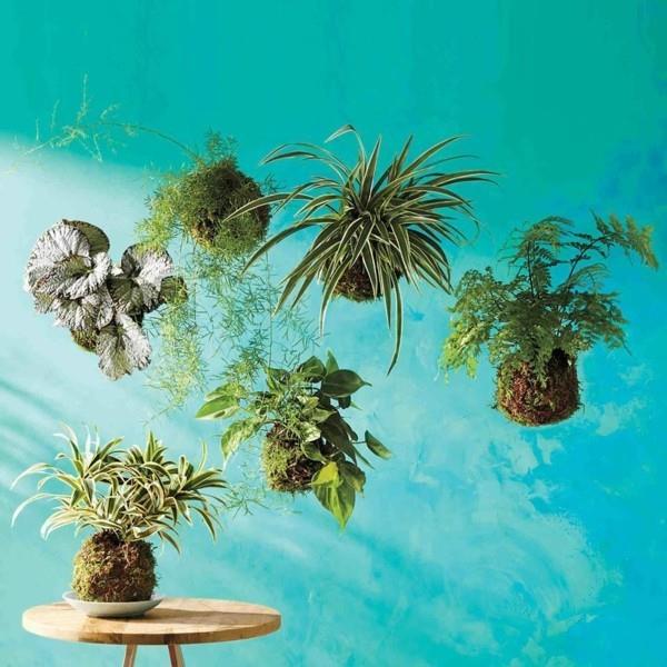 japanilainen puutarha art bonsai riippuva sammalpallo DIY Kokedama