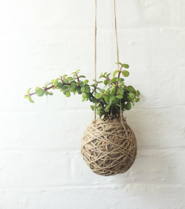 japanilainen puutarhataide riippuva sammalpallo DIY Kokedama