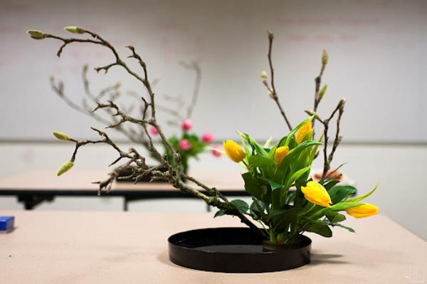 japanilainen kukka -asetelma ikebana magnolias keltaiset tulppaanit