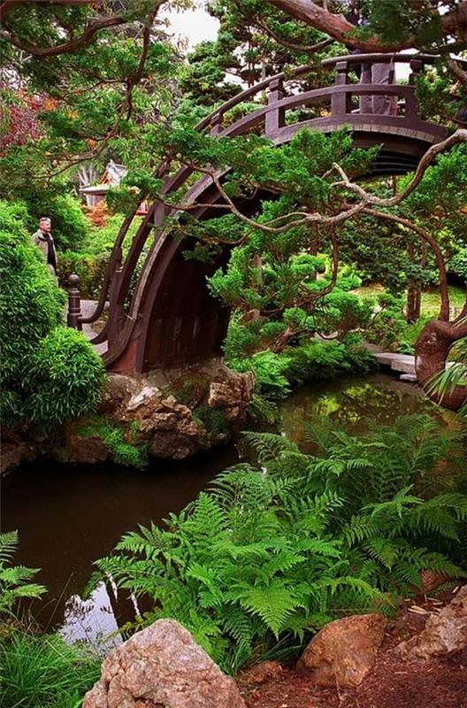 japanilaisen puutarhan suunnitteluideoita siltakivien kasvi