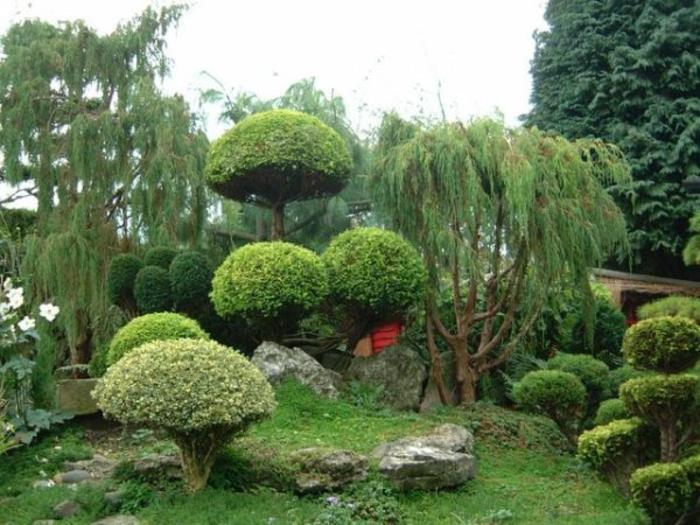 japanilaisen puutarhapuutarhan suunnitteluideoita japanilaiseen tyyliin