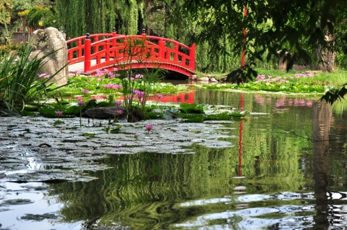 japanilainen puutarha puutarha lampi punainen silta puu vesililjat