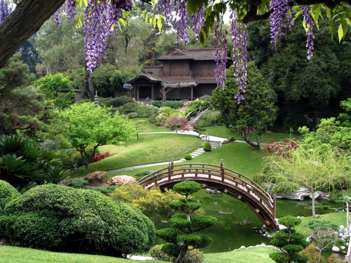 japanilainen puutarha puinen silta lampi havupuut akaasia