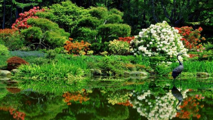 japanilaiset puutarhapuistot tammenvihreä kasvillisuus Kaukoidän alppiruusut