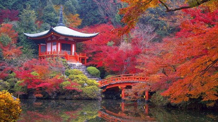 japanilainen puutarha puisto metsä syksy aasialainen arkkitehtuuri temppeli