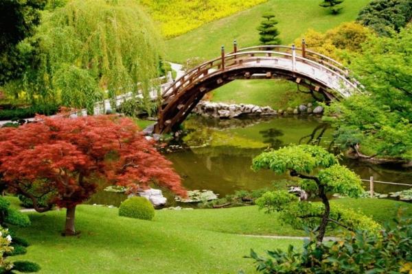 japanilainen puutarha kaunis silta nurmikot