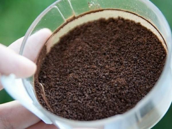 kahvinporoja ampiaisia ​​vastaan