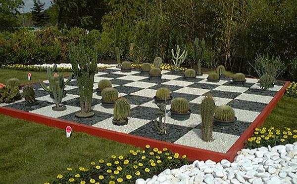 kaktukset puutarhaidea maisemasuunnittelu