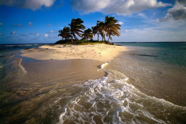 karibian saaret romantiikka rentoutuminen palmuja