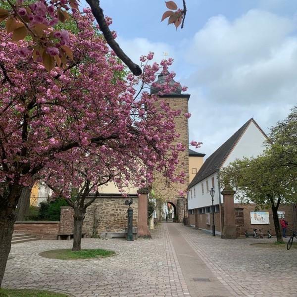 Karlsruhe Durlach