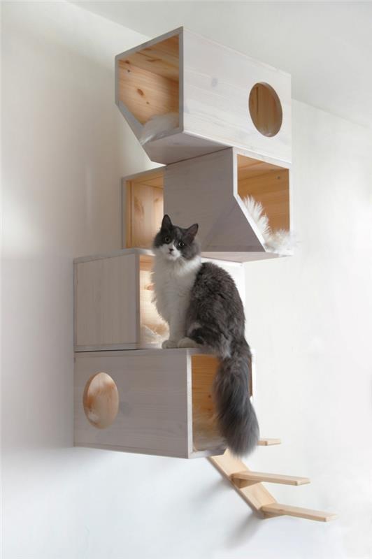 Nosta kissat kotikissat asenne kissa huonekalut seinäkoriste