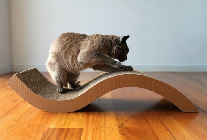 nostaa kissoja vinkkejä kotikissat asenne kissa huonekalut raapimispuu