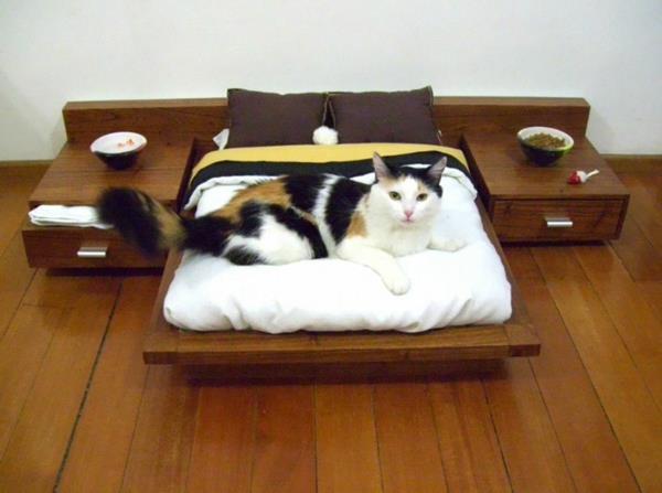 kissan huonekalut makuuhuoneen suunnittelu hauska sänky