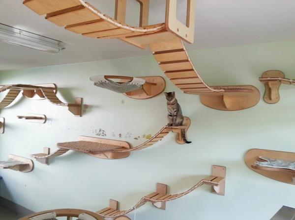 kissan huonekalut puumuotoilu kiipeilyeläinpelien seinä